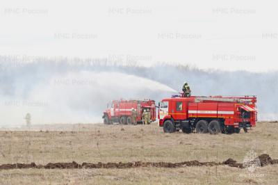 Рязанские огнеборцы за минувшую неделю ликвидировали более 300 пожаров