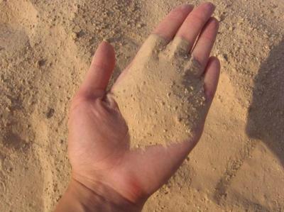 Рязанские прокуроры пресекли незаконную добычу песка