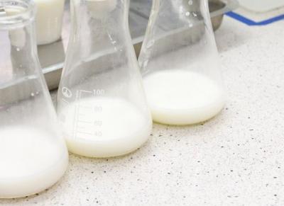 На шиловском предприятии обнаружили молочный фальсификат