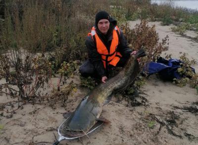 На Оке под Рязанью рыбак выловил 32-килограммового сома