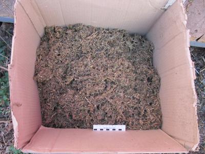 Рязанские наркополицейские конфисковали 5,5 килограмма марихуаны