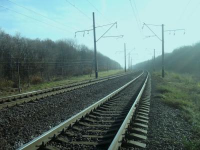 В Шиловском районе мать бросила шестилетнего ребёнка под поезд