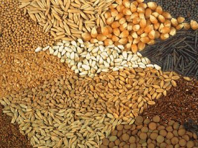 Рязанского бизнесмена оштрафовали за продажу неселекционных семян