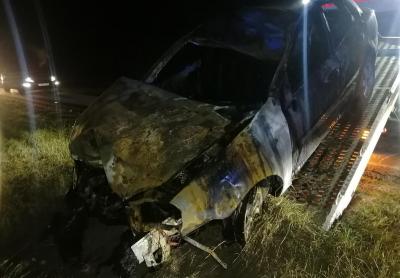 В Клепиковском районе погиб водитель, сбивший лося