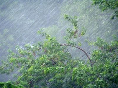 В Рязанской области объявлено метеопредупреждение из-за грозы