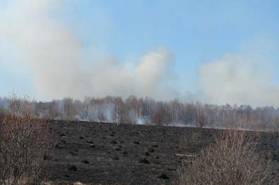 Ермишинское село Кафтейка спасли от пожара