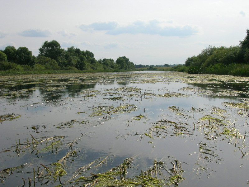 Река паром