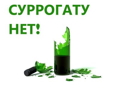 Рязанские активисты ОНФ дали старт акции «Суррогату нет»