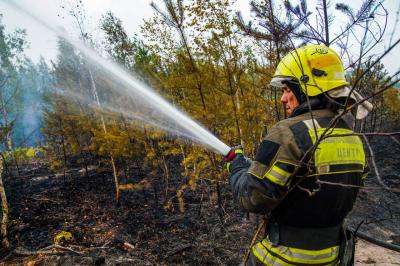 Добровольцы из Москвы остановили огонь у деревни Ольгино в Рязанской области