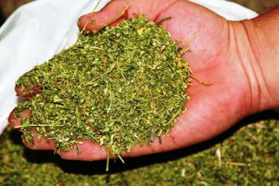 Рязанские полицейские изъяли почти 200 граммов марихуаны