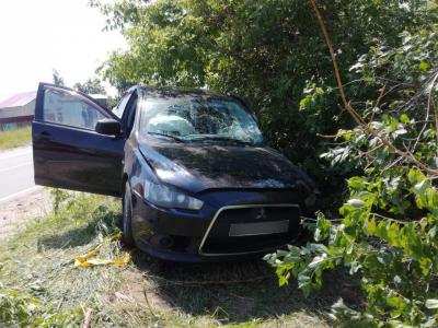 Под Спасском столкнулись два автомобиля Mitsubishi