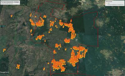 В Окском заповеднике площадь активного горения составляет более 3 тысяч гектаров