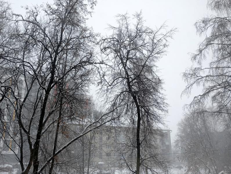 Рязанцев предупредили о сильных снегопадах