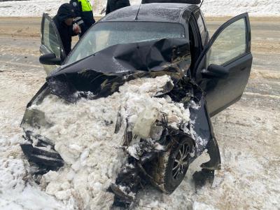 В Клепиковском районе пострадал водитель иномарки, столкнувшийся с грузовиком