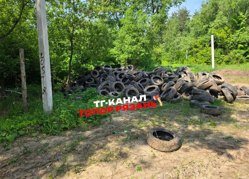 В Приокском в Рязани нашли огромную свалку с автопокрышками