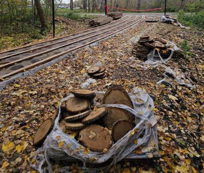 В рязанском Лесопарке начали переделывать экотропу