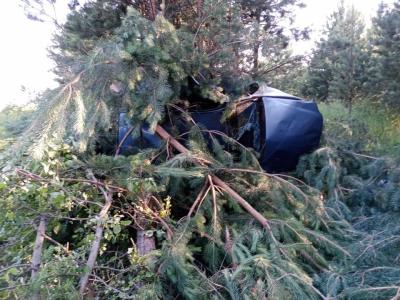 Близ Ермиши автомобиль Renault врезался в дерево, водитель погиб
