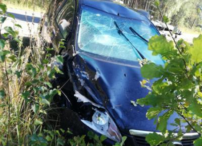 Близ Касимова «Лада Калина» слетела с дороги, пострадали две девочки-пассажирки