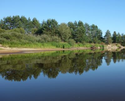 В 2020 году в Рязанской области обследовали три реки