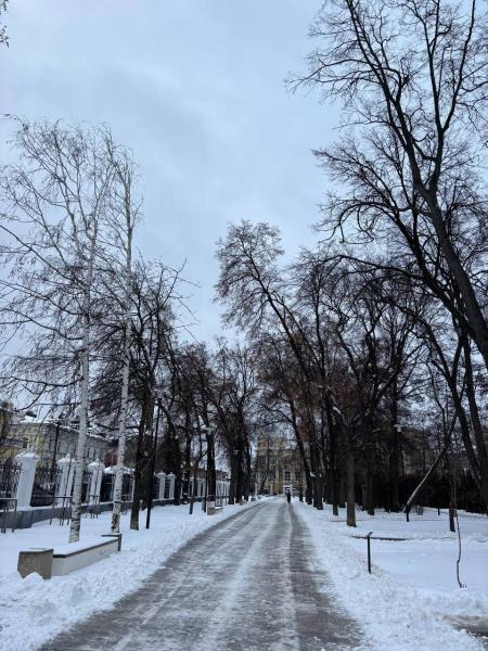 Рязанцев предупредили о тумане