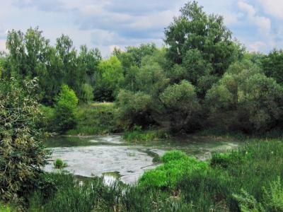 Русло реки Солотча чистят под надзором Рязанской природоохранной прокуратуры