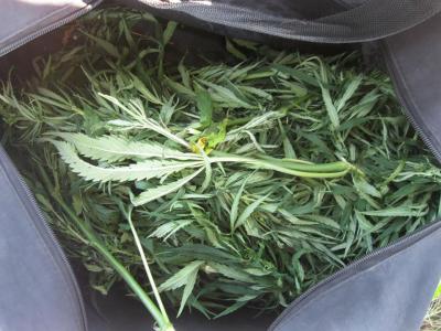 Жителя Рыбновского района задержали на улице с большой сумкой марихуаны