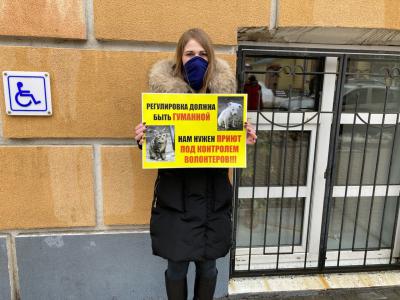 Рязанские зоозащитники провели одиночные пикеты в поддержку городского приюта