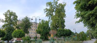 Рязанцам пообещали 20 градусов тепла