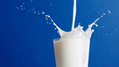 Роспотребнадзор обнаружил нарушения санитарных норм в Сасовской молочной компании