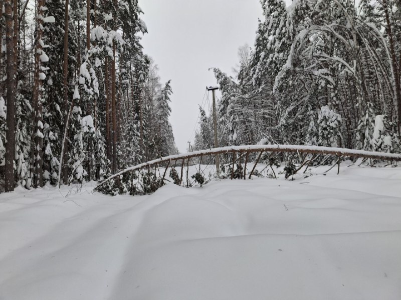Энергетики «Рязаньэнерго» оперативно восстанавливают локальные нарушения электроснабжения