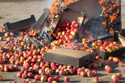 В рязанском ТЦ «Кит» продавали санкционные яблоки