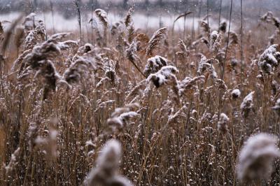 В Рязанскую область на следующей неделе придёт похолодание