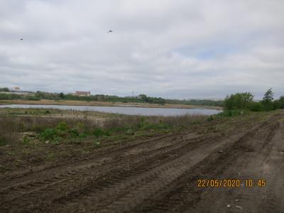 Минприроды региона обязало администрацию Рязани убрать свалку у озера Дикая утка
