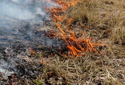 В Рязанской области объявили жёлтый уровень погодной опасности