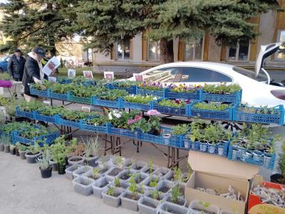 В Рязани начала работать ярмарка «Сад-огород»