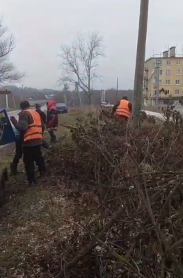 «Эко-Пронск» помогает Скопину избавиться от навалов древесных отходов