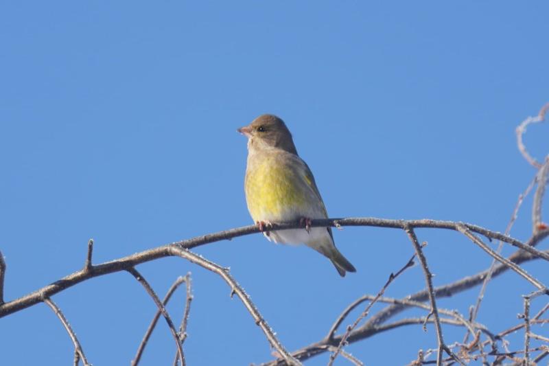 Фото: Алёна Фионина