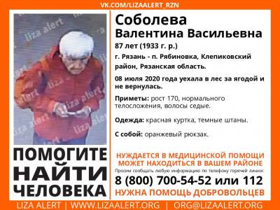 В Клепиковском районе ищут 87-летнюю пенсионерку