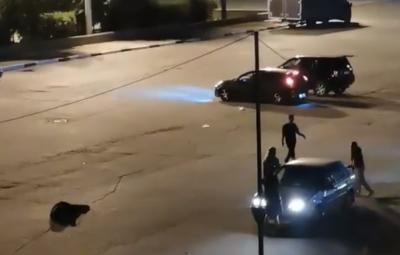 Полиция прокомментировала конфликт на площади Театральной в Рязани