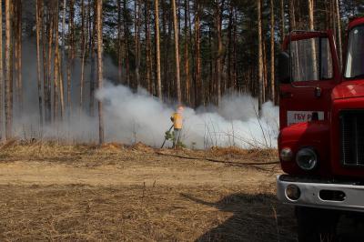 В Клепиковском районе прошла штабная тренировка по тушению лесного пожара