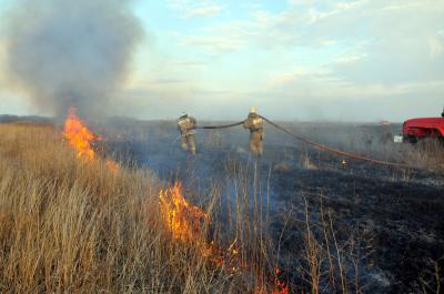 За неделю в Рязанской области случилось 825 пожаров, погибли 4 человека