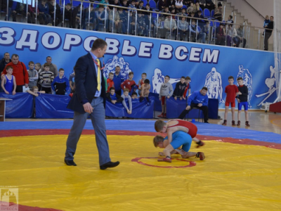 Михайлов примет всероссийские соревнования по греко-римской борьбе