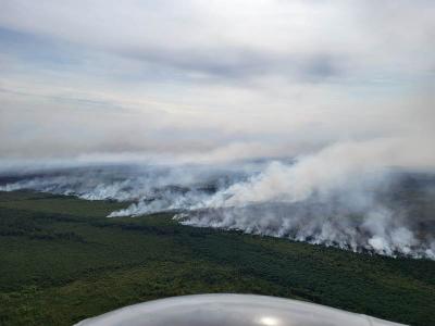 Авиалесохрана провела передислокацию сил на пожаре в Рязанской области