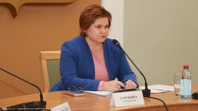 Елена Сорокина поручила очистить все надземные переходы от наледи