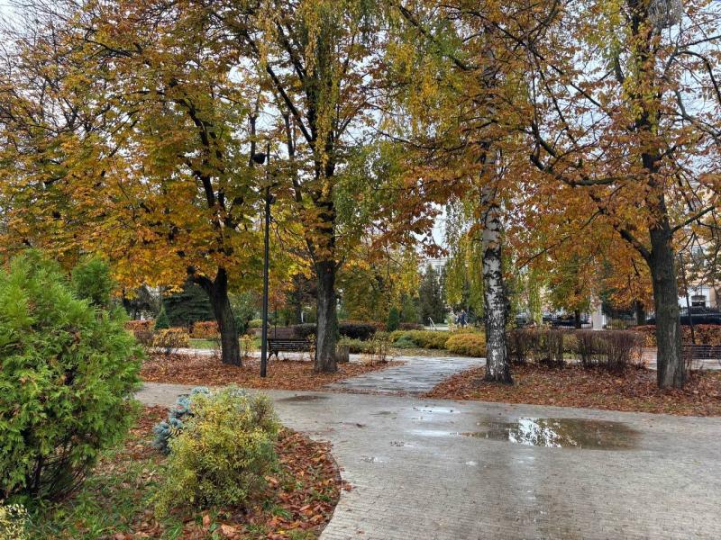 Рязанцам рассказали, когда ждать конца бабьего лета и первого снега