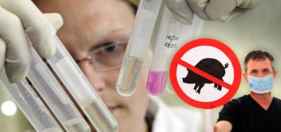 На прошлой неделе в Рязанской области было выявлено 29 случаев «свиного» гриппа