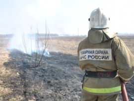 В Касимовском районе горит лес