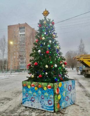 Комсомольский парк Рязани пополнила новогодняя ёлка
