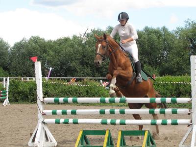 В Рыбновском районе пройдут соревнования Кубка Евпатия Коловрата по конному спорту
