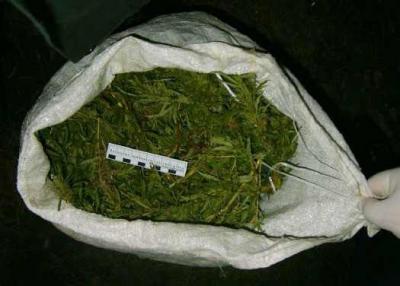Житель Кораблинского района хранил дома три килограмма марихуаны
